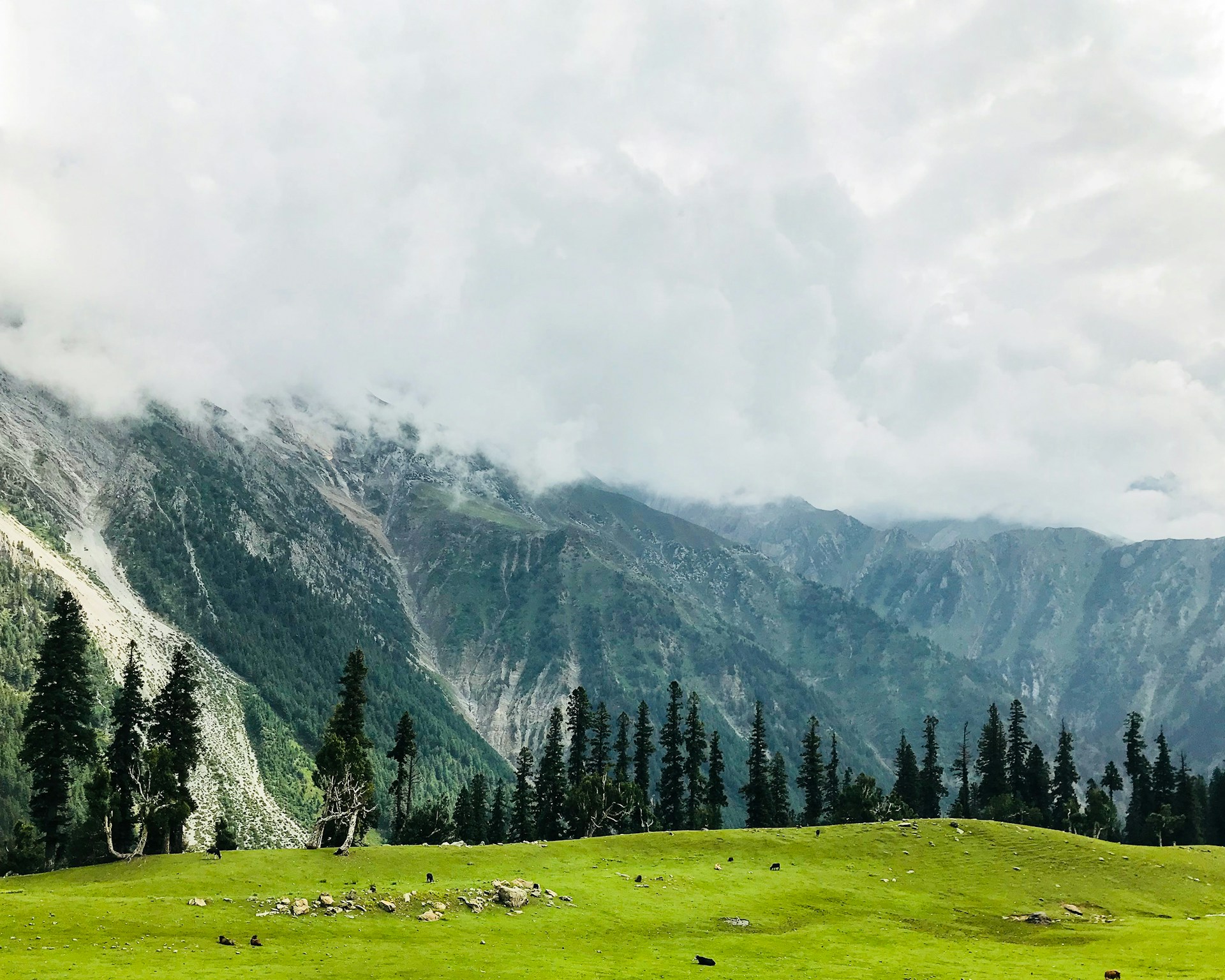 Kashmir Tour 5 Days 4 Nights Package
